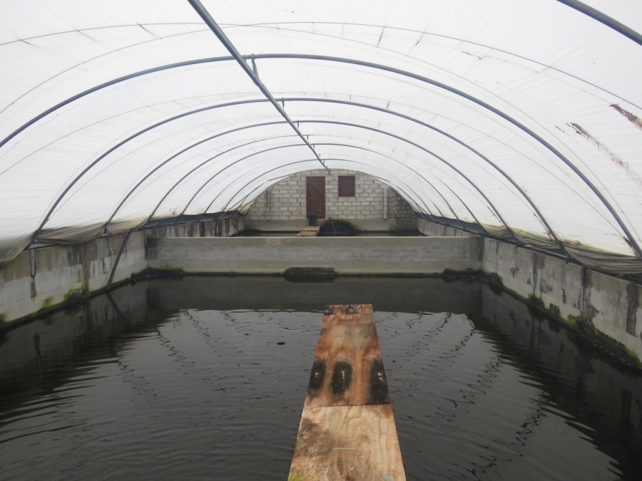 3 Bedroom Property for Sale in Bathurst Eastern Cape